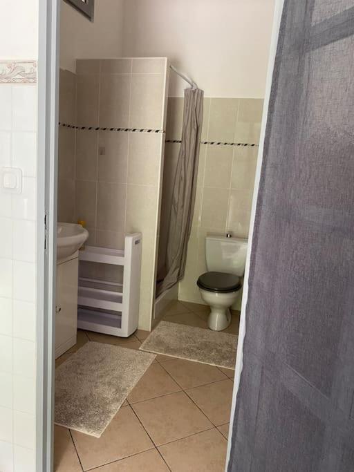 Villa Serenice - F2 Au Calme, Climatise, Wifi Et Parking Gratuit Εξωτερικό φωτογραφία
